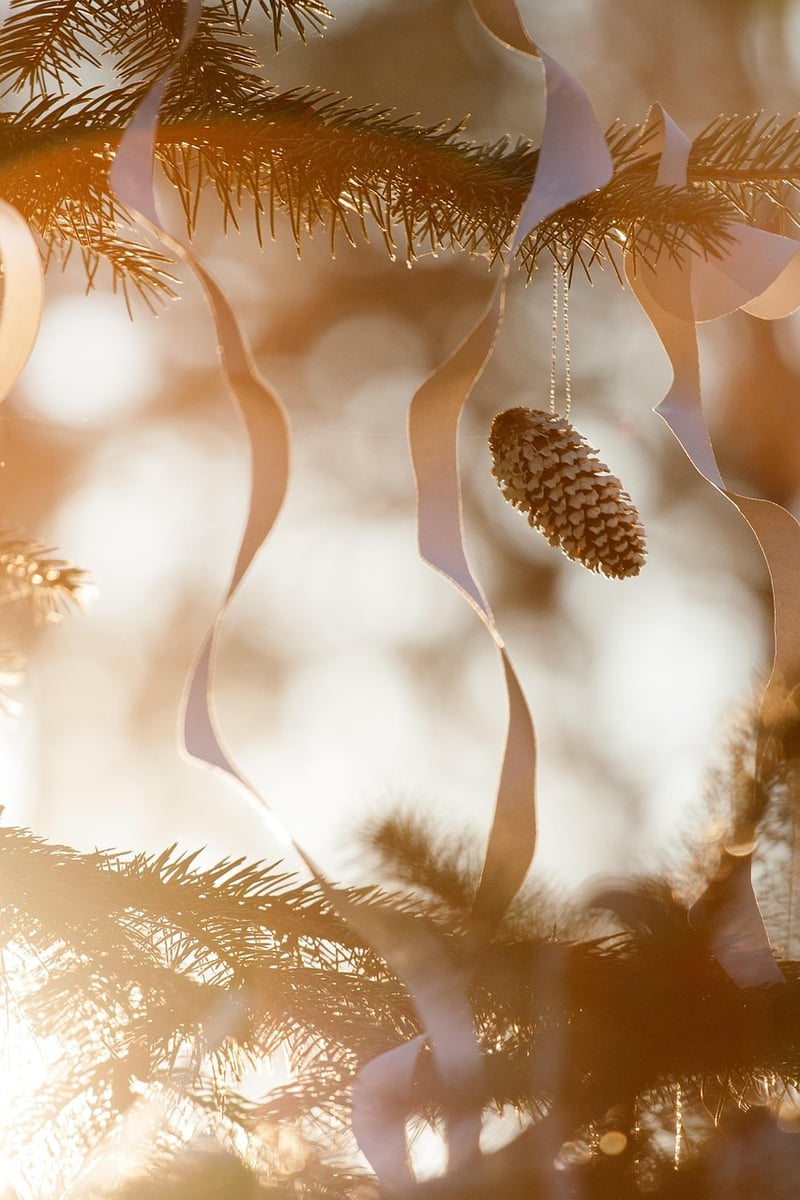 Pine Cone Bird Feeder