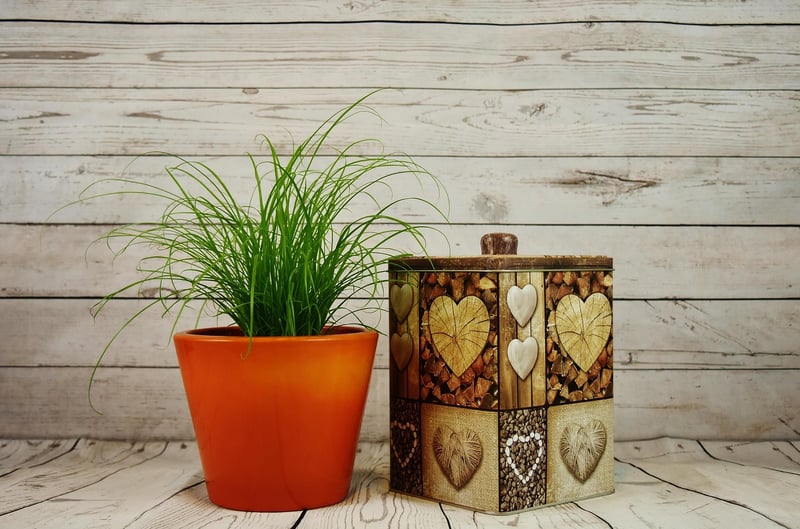 Upcycled Tin Cans